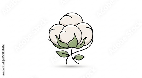 Cotton flower, representing natural fiber, textile industry, and organic farming for sustainable materials