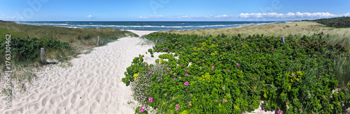 Foot path to the Beach near Dierhagen at west coast of island Darß (Mecklenburg-Western Pommerania, Germany)

