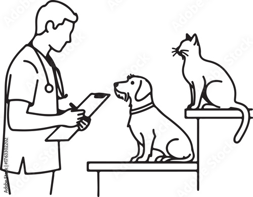 Veterinarian examining dog and cat doctor medical