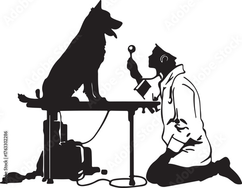 Veterinarian examining dog with medical equipment examination