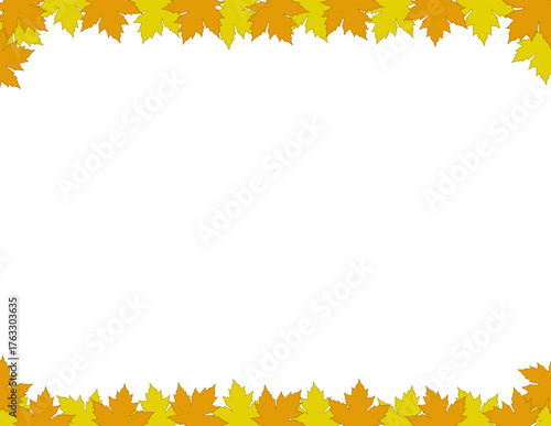 White background with maple leaves. Vector maple. White background with maple leaves for your design or advertising.