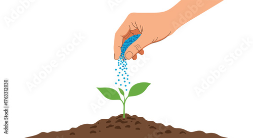 Hand fertilizing a young plant with essential nutrients for growth.