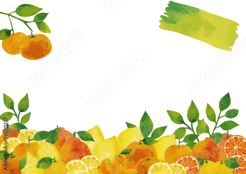 水彩風 冬の柑橘類（ユズ・ミカン・レモン・デコポン・キンカン）フレーム
