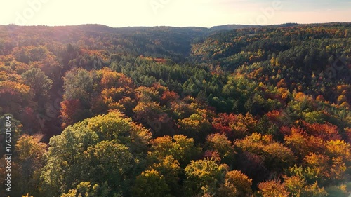 Aerial drone footage of flying over beautiful colorful autumnal forest at sunset