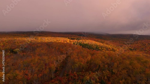 Fall Foliage Forest Colors Flyover