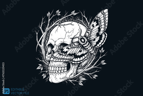 Skull and Deaths-head Hawkmoth Illustration.