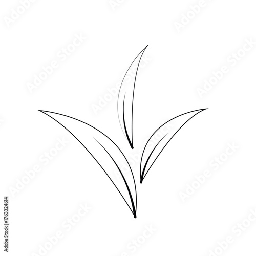 black and green leaves