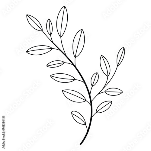 minimalist botanical branch line drawing with outlined elliptical leaves, elegant black and white nature illustration for modern design