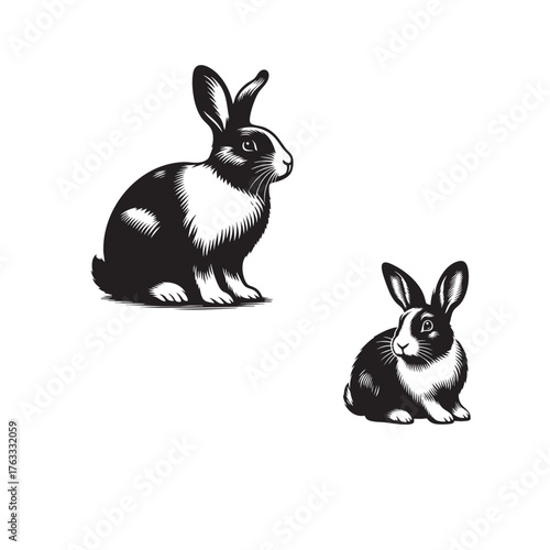 rabbit black and white animal silhouette vector