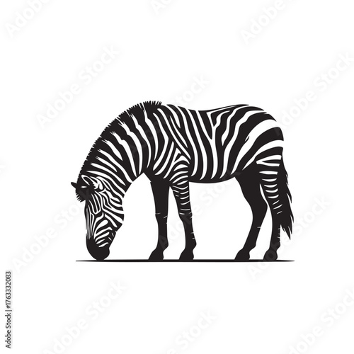 zebra black and white animal silhouette vector