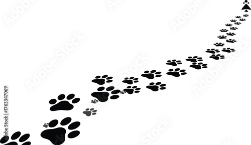 Winding Animal Paw Prints Trail Vector Illustration
