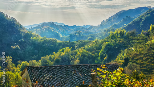 Colline del Prosecco