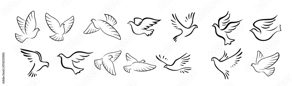 Obraz premium pigeon and dove birds silhouettes 