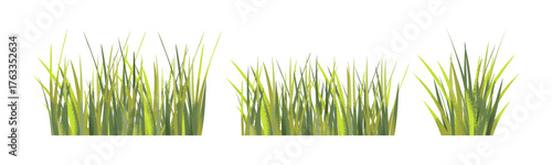 Green Grass Tufts Various Sizes Shapes for Design Projects. Set of clumps of grass in various shapes and sizes isolated. Cartoon vector illustration.