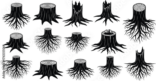 Mega Set of Black Tree Stump and Root System Silhouettes Vector Illustration