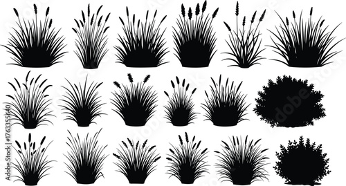 Set of Black Grass Tuft and Bush Silhouette Vector Illustration