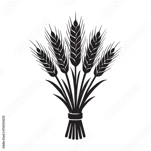 Silhouette bundle of wheat stalks tied together