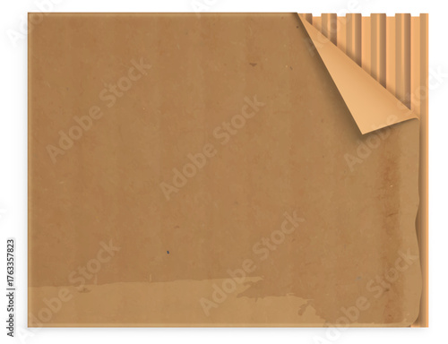 Corrugated Cardboard with Curled Corner