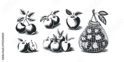 Still life drawing of apples and cherries in various arrangements