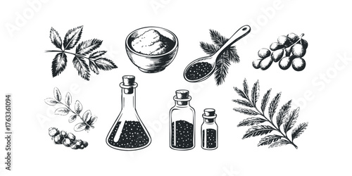 Botanical collection with herbs and vials
