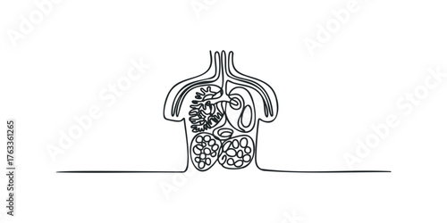 Torso outline with internal organs and organ cluster