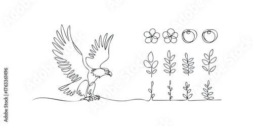 Single line drawing of a predatory bird with wings spread and botanical elements