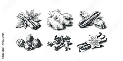 Woodcut style collection of assorted spices with vanilla bean and flower