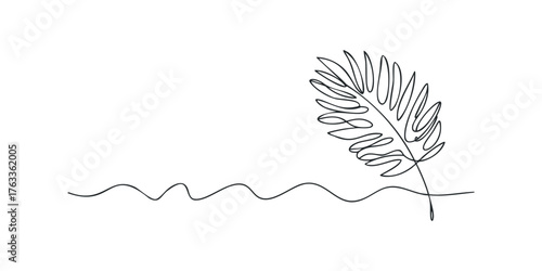 Line Drawing of a Fern Frond and Wavy Line