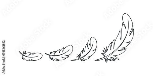 Four Feathers in Graduated Sizes Outline