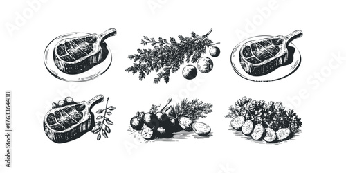 Meat cuts and fresh herbs arranged with fruit