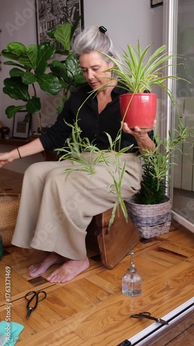 Gardener spraying water on chlorophytum comosum plant isolated on white background