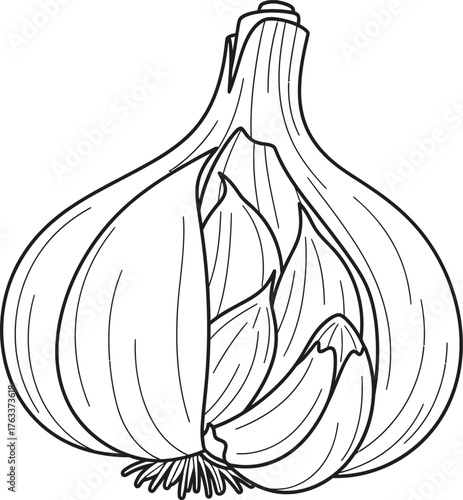 Detailed line art illustration of a garlic bulb with visible cloves, perfect for culinary themes, healthy food, and coloring book designs.