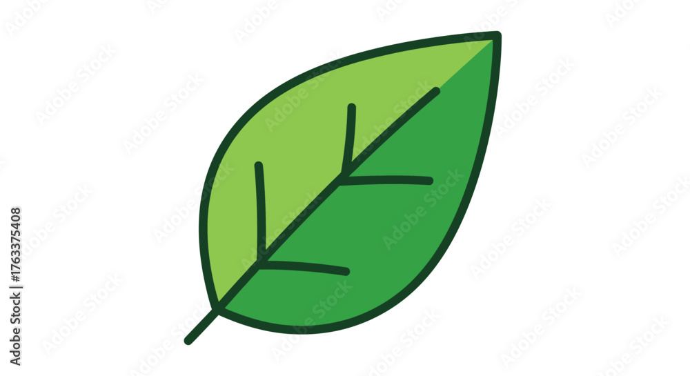 Obraz premium Simple green leaf vector illustration isolated on a white background.