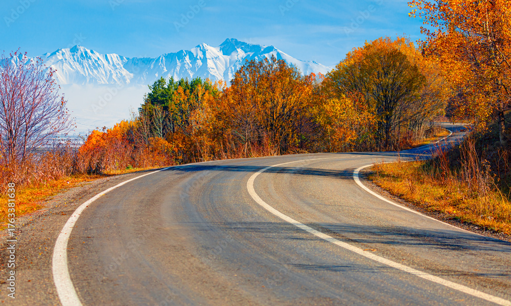 Naklejka premium An S-shaped road surrounded by autumn trees with snowy mountain ranges in the background