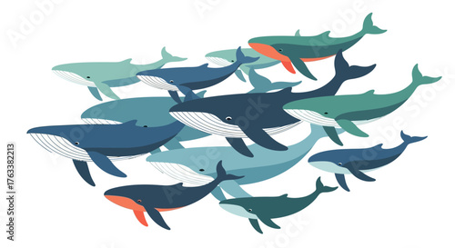 A large pod of whales swimming together in a group.