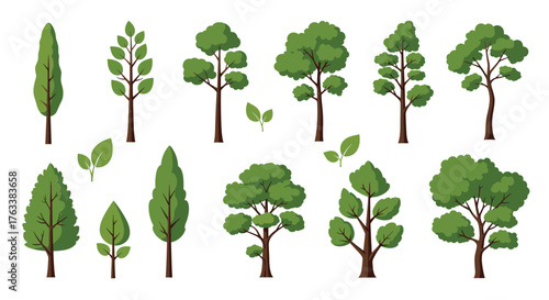 Collection of Various Green Trees and Leaves Isolated on White Background.