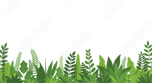 Greenery Border With Various Leafy Plants And Ferns.