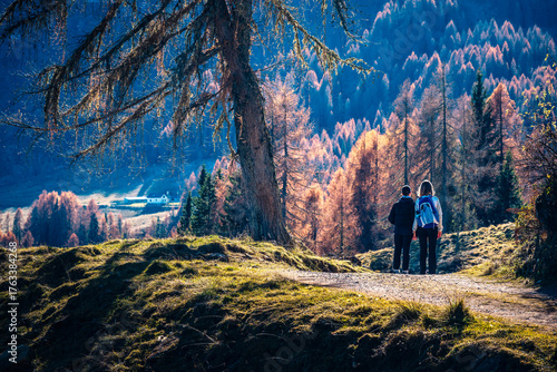 Sauris immersed in the magic of autumn. The kingdom of the golden larch.