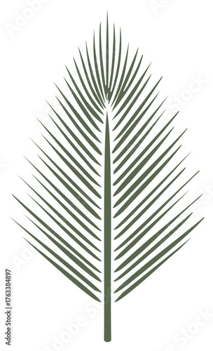 Elegant Palm Frond Silhouette Olive Green Tropical Leaf Vector Illustration