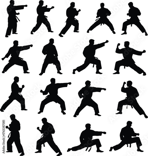 Martial arts silhouettes, karate poses, taekwondo stances, defensive moves, offensive techniques, black figures, training form, posture study, grid layout, combat motion