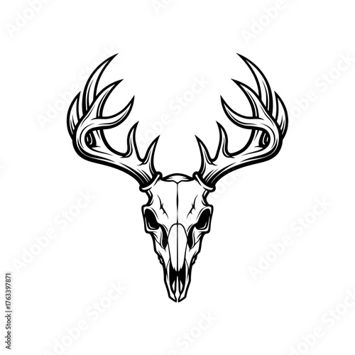 Deer Skull with Antlers Vector Illustration on White Background.