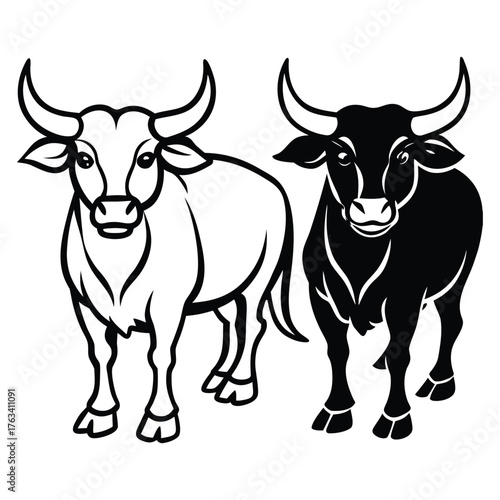 a black and white illustration of two bulls, one in a white silhouette and one in a black silhouette, both facing forward with large horns and alert expressions

