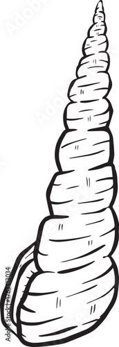 Hand drawn clipart illustration of seashell shell mollusc seaside shellfish