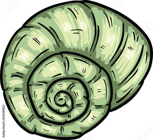 Hand drawn clipart illustration of seashell shell mollusc seaside shellfish