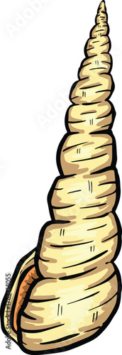 Hand drawn clipart illustration of seashell shell mollusc seaside shellfish