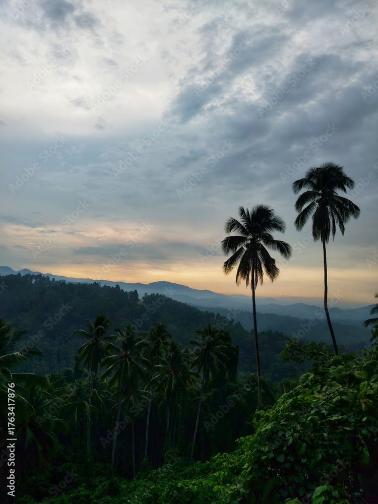 Obraz premium palm trees at sunset