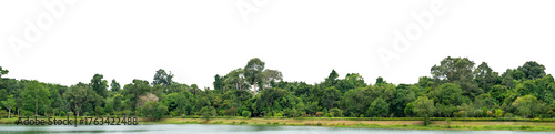 Natural green forest tree line with transparent background PNG for design and creative projects. natural forest, tree line, green trees, nature PNG isolated