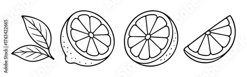 Lemon Doodle style. Hand drawn black and white isolated fresh lemon icon. Coloring page, art therapy, line art, logotype. Vector illustration