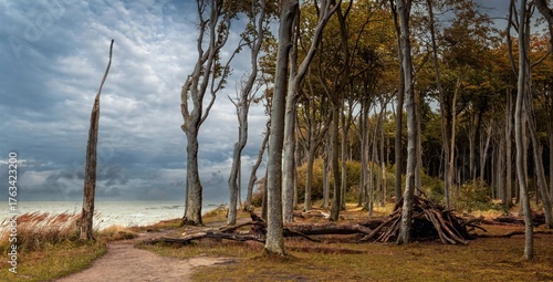 Fototapeta Naklejka Na Ścianę i Meble -  
autumnal and stormy photo taken on a cliff at a Baltic Sea beach on the island of Poel