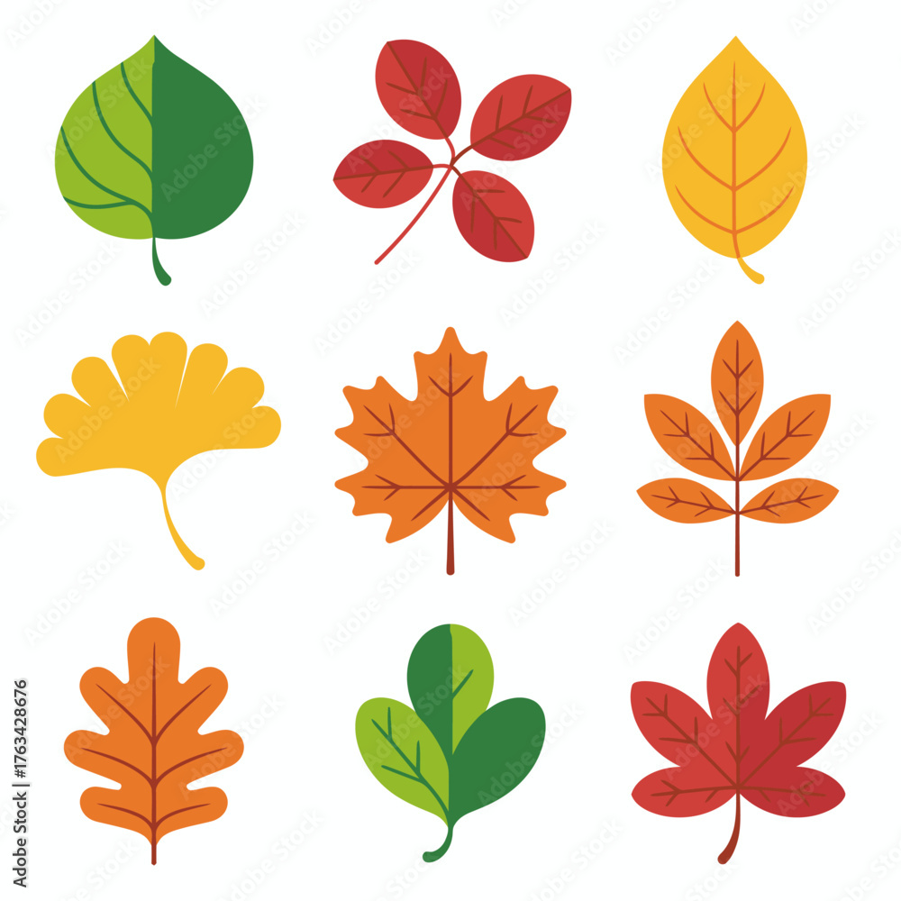 Obraz premium Autumn Leaves Vector Set – Colorful Fall Leaf Icons, Seasonal Foliage, and Nature Design Elements.